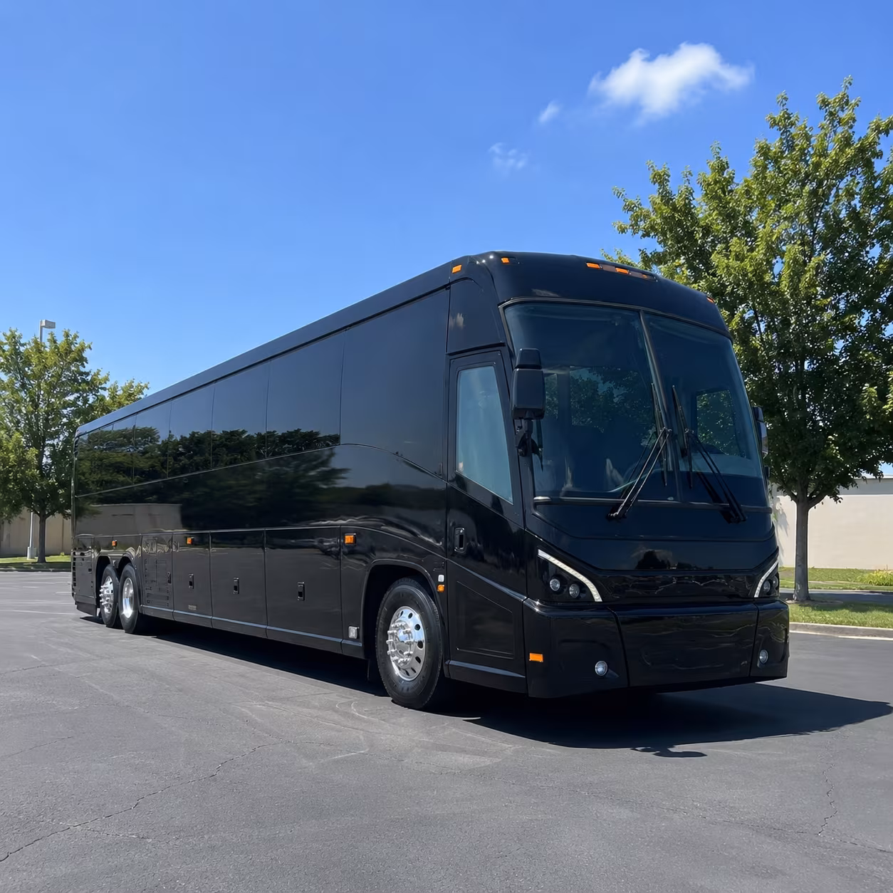 Luggage loaded into a Metro McKinney motorcoach luggage bay
