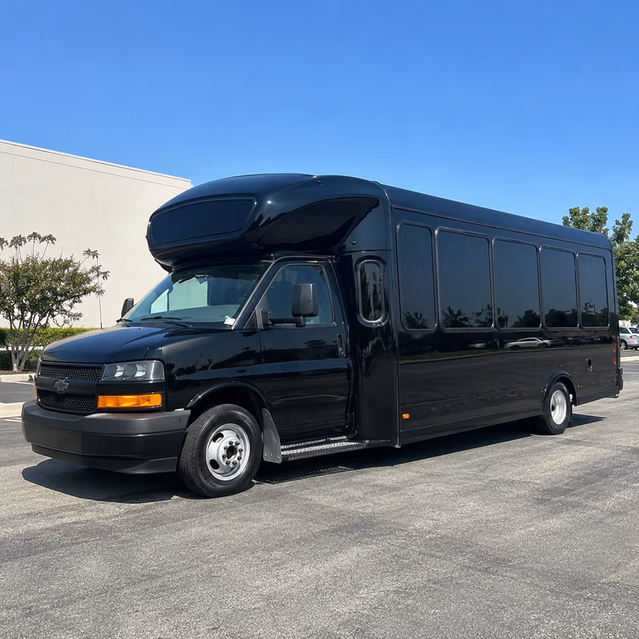 McKinney Bachelor & Bachelorette Transportation party bus exterior