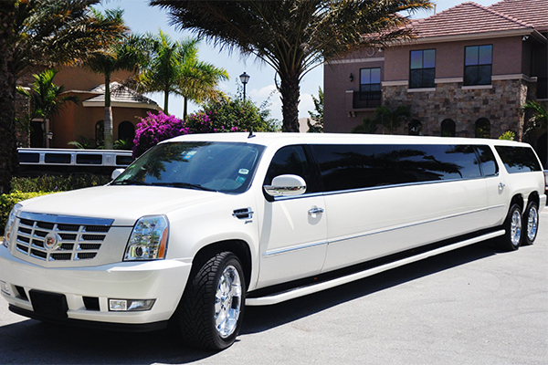 Mckinney 20 Passenger Limo